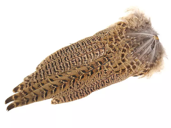 RINGNECK PHEASANT HEN COMPLETE TAIL hotfly