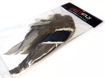 MALLARD DUCK WING hotfly