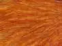 PREMIUM HEN CAPE hotfly - coachman brown