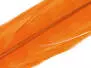 PHEASANT TAIL FEATHER BLEACHY 1° CLASS hotfly - 1 pc....