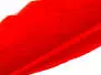 GOOSE QUILL FEATHER hotfly - 1 pc. - ca. 25 cm - red