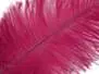 OSTRICH HERL hotfly - 1 pc. - ca. 20 cm - claret