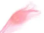 PEACOCK EYE hotfly - 1 pc. - ca. 30 cm - pink