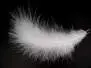 MARABOU V2 hotfly - 10 pc. - ca. 13 cm - white
