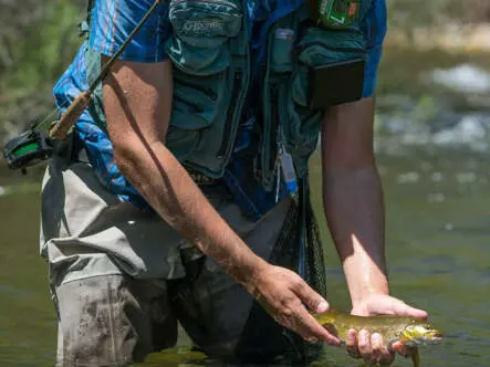 FLY ROD HOLDER for belt (left)