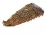 HEN SADDLE basic fly fishing