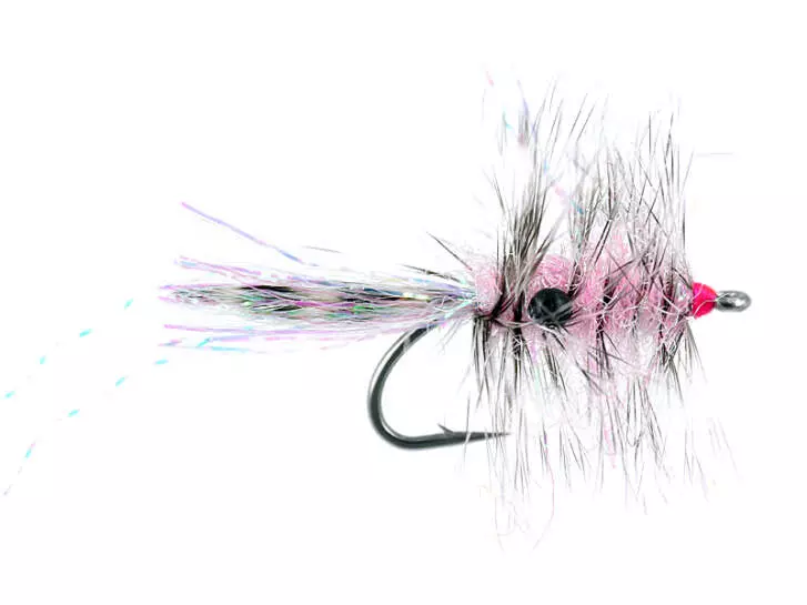 Polar Chenille Shrimp Pink