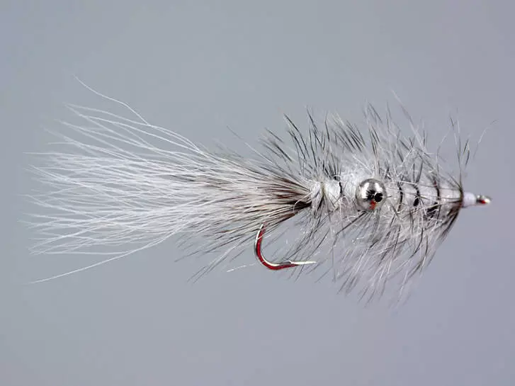 Vaskebjorn White