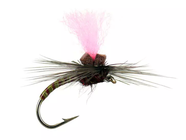 Olive Synquill Klinkhamer
