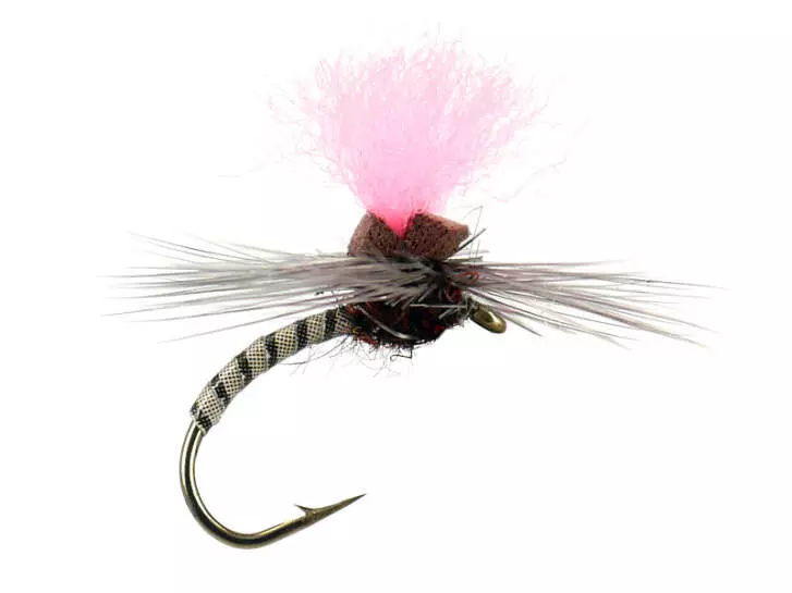 Grey Synquill Klinkhamer
