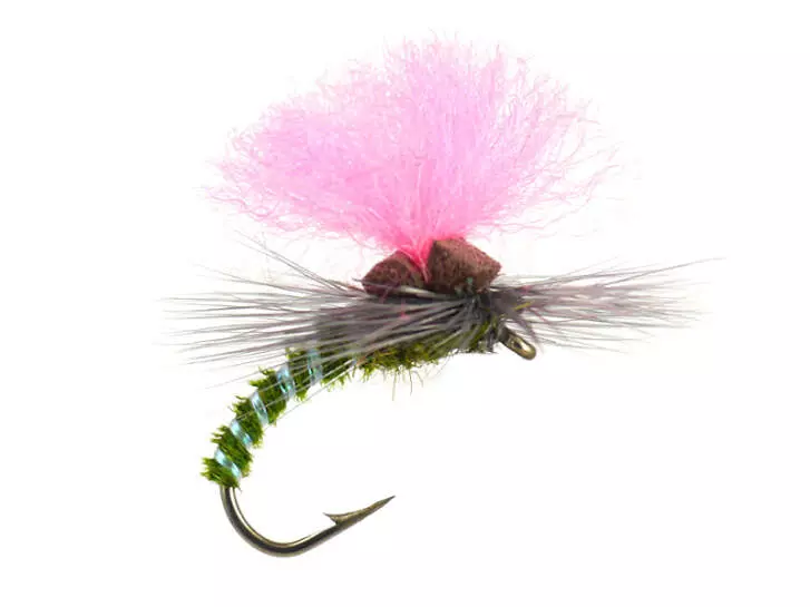 Olive Elite Klinky