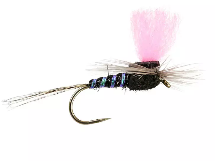 Black High-Viz Paradream BL