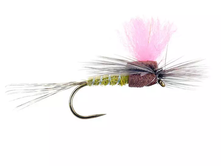 Light Olive High-Viz Paradream BL
