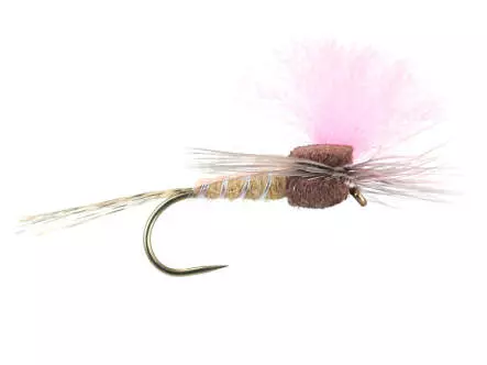 Salmon Tan High-Viz Paradream BL