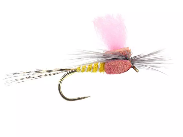 Yellow High-Viz Paradream BL