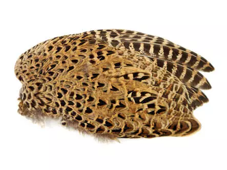 RINGNECK PHEASANT HEN WING hotfly