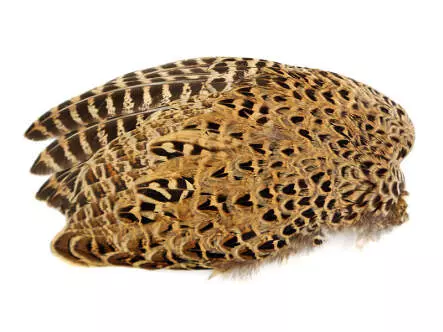 RINGNECK PHEASANT HEN WING hotfly