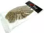 RINGNECK PHEASANT HEN WING hotfly