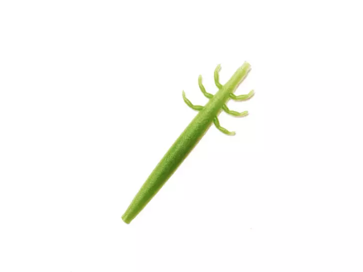 J:son Realistic Caddis Larvae nymph backs - CL2 - 12 pc. - green