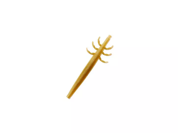 J:son Realistic Caddis Larvae nymph backs - CL3 - 12 pc. - olive brown