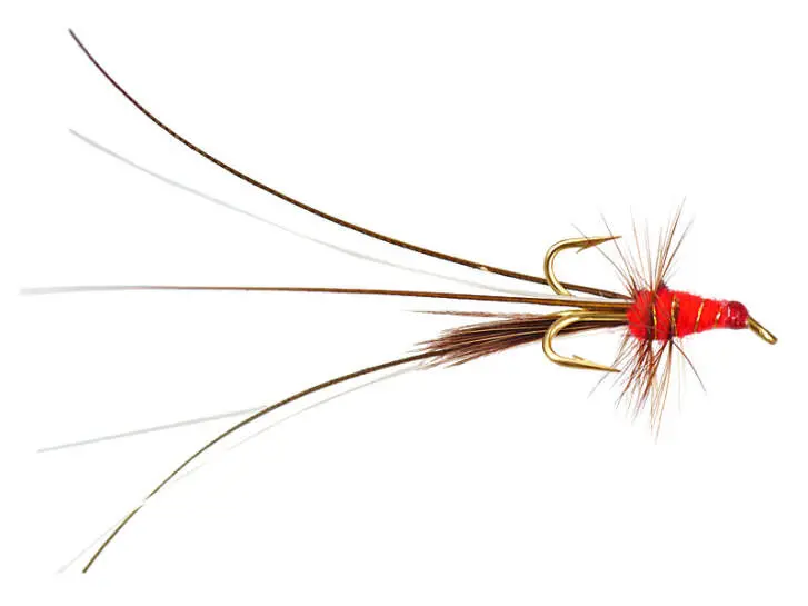 MW Francis Red Treble 8