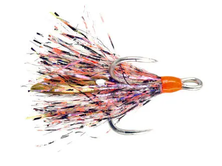 Last Kiss TDH Barred Orange