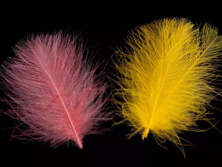 CDC FEATHERS swiss-cdc standard - 1 g