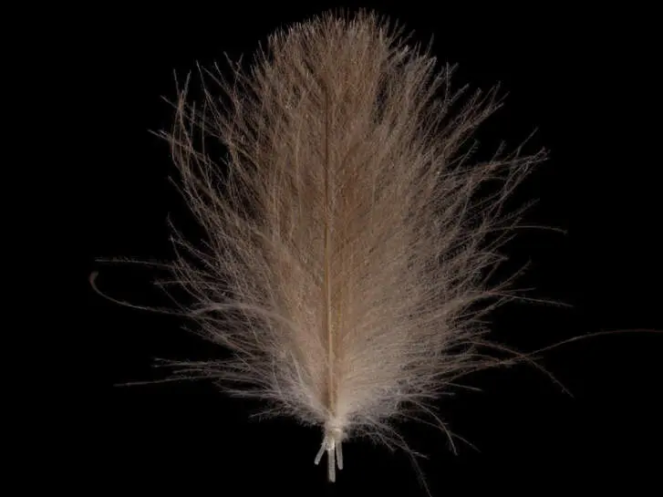 CDC FEATHERS swiss-cdc standard - 1 g - brown