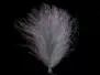 CDC FEATHERS swiss-cdc standard - 1 g - dun