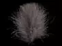 CDC FEATHERS swiss-cdc standard - 1 g - dark dun
