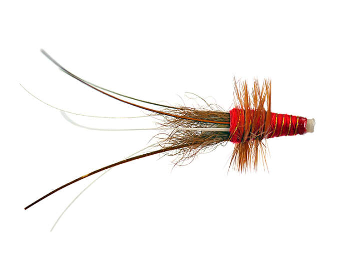 MW Francis Red Tubefly