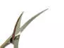 Scissors misuzu FEATHERLIGHT PREMIUM 705 CURVED