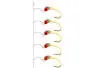 Alosa agone line PEARL BRAID