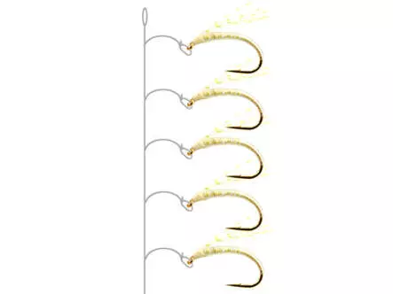 Alosa agone line ULTRA VIOLET CHAMP