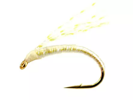 Alosa agone line ULTRA VIOLET CHAMP