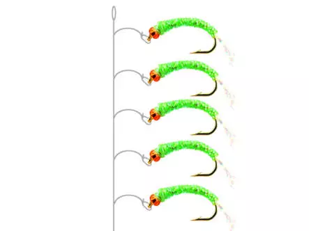 Alosa agone line PEARL GREEN