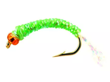 Alosa agone line PEARL GREEN