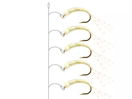 Alosa agone line ALL PEARL