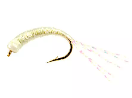 Alosa agone line ALL PEARL