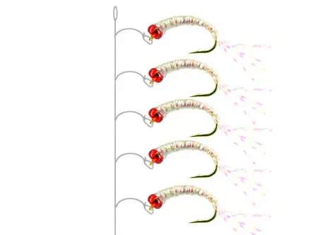 Alosa agone line PEARL RED HEAD