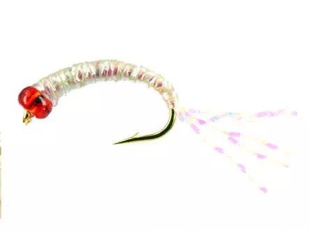 Alosa agone line PEARL RED HEAD