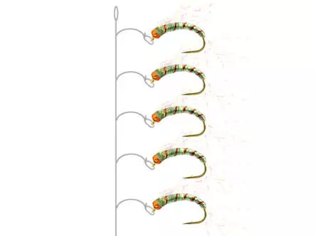 Alosa agone line CRYSTAL WING