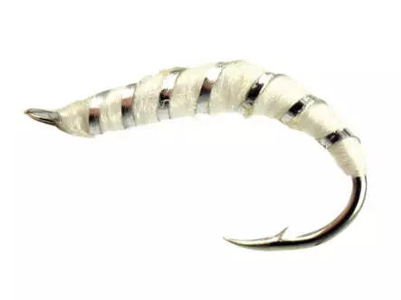 Alosa agone line ALL WHITE