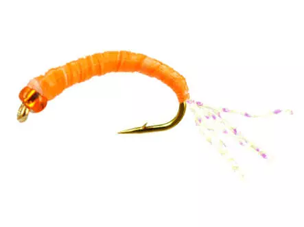 Alosa agone line MIXED GLOW COLORS