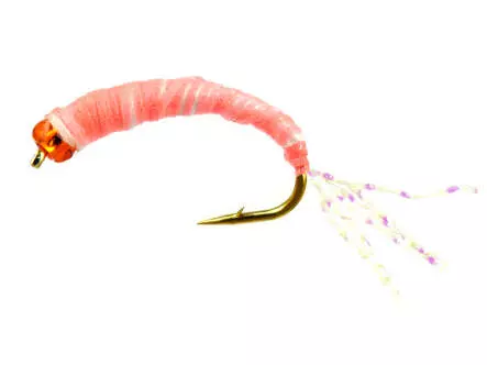 Alosa agone line MIXED GLOW COLORS