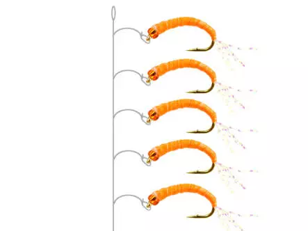 Alosa agone line ORANGE GLOWING