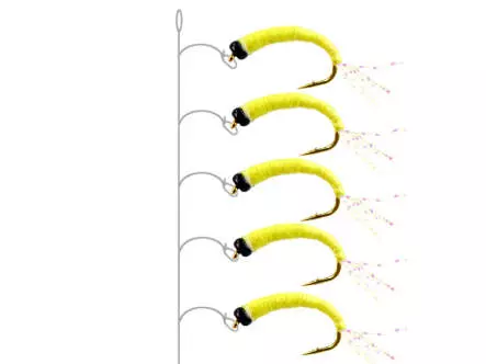 Alosa agone line YELLOW GLOWING