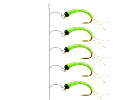 Alosa agone line CHARTREUSE GLOWING
