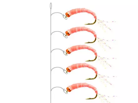 Alosa agone line PINK GLOWING
