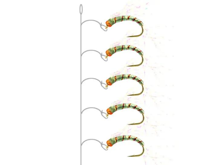 Alosa agone line CRYSTAL WING 12